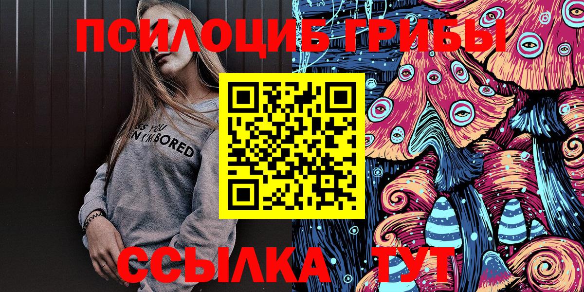 Псилоцибиновые грибы мицелий Камень-на-Оби