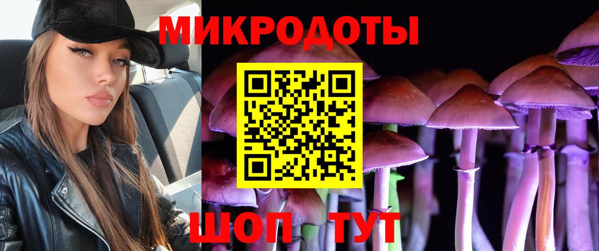 Галлюциногенные грибы Magic Shrooms  Вход с VPN  Камень-на-Оби  Галлюциногенные грибы мухоморы 